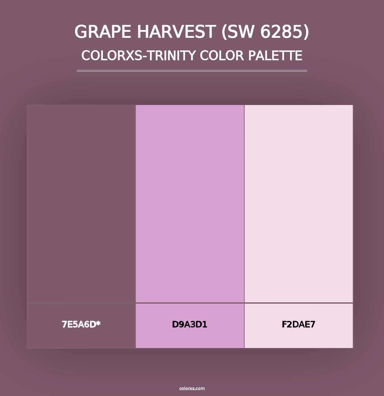 Grape Harvest (SW 6285) - Colorxs Trinity Palette