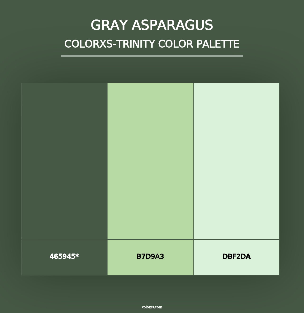 Gray Asparagus - Colorxs Trinity Palette