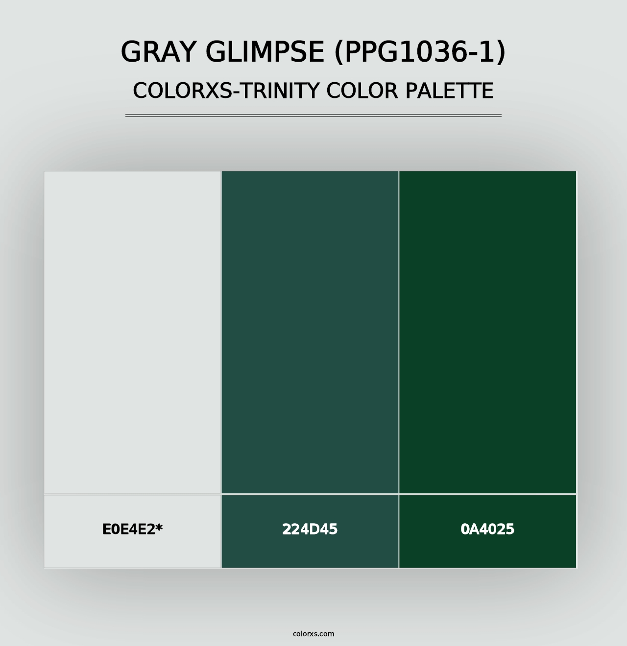 Gray Glimpse (PPG1036-1) - Colorxs Trinity Palette