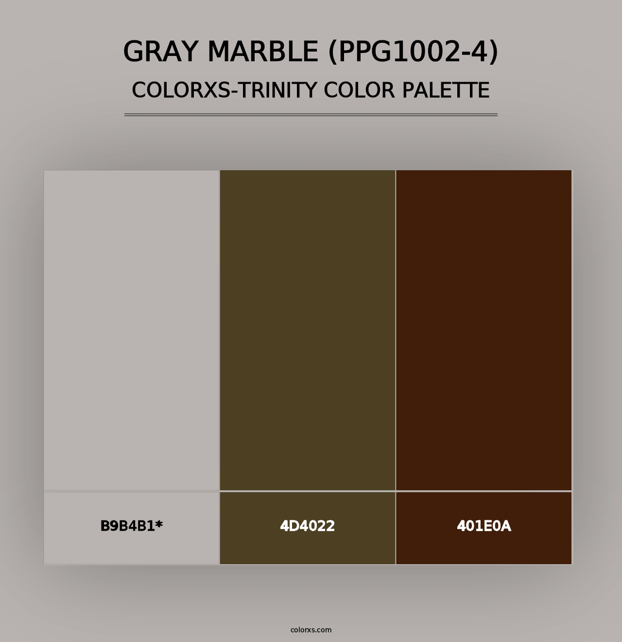 Gray Marble (PPG1002-4) - Colorxs Trinity Palette