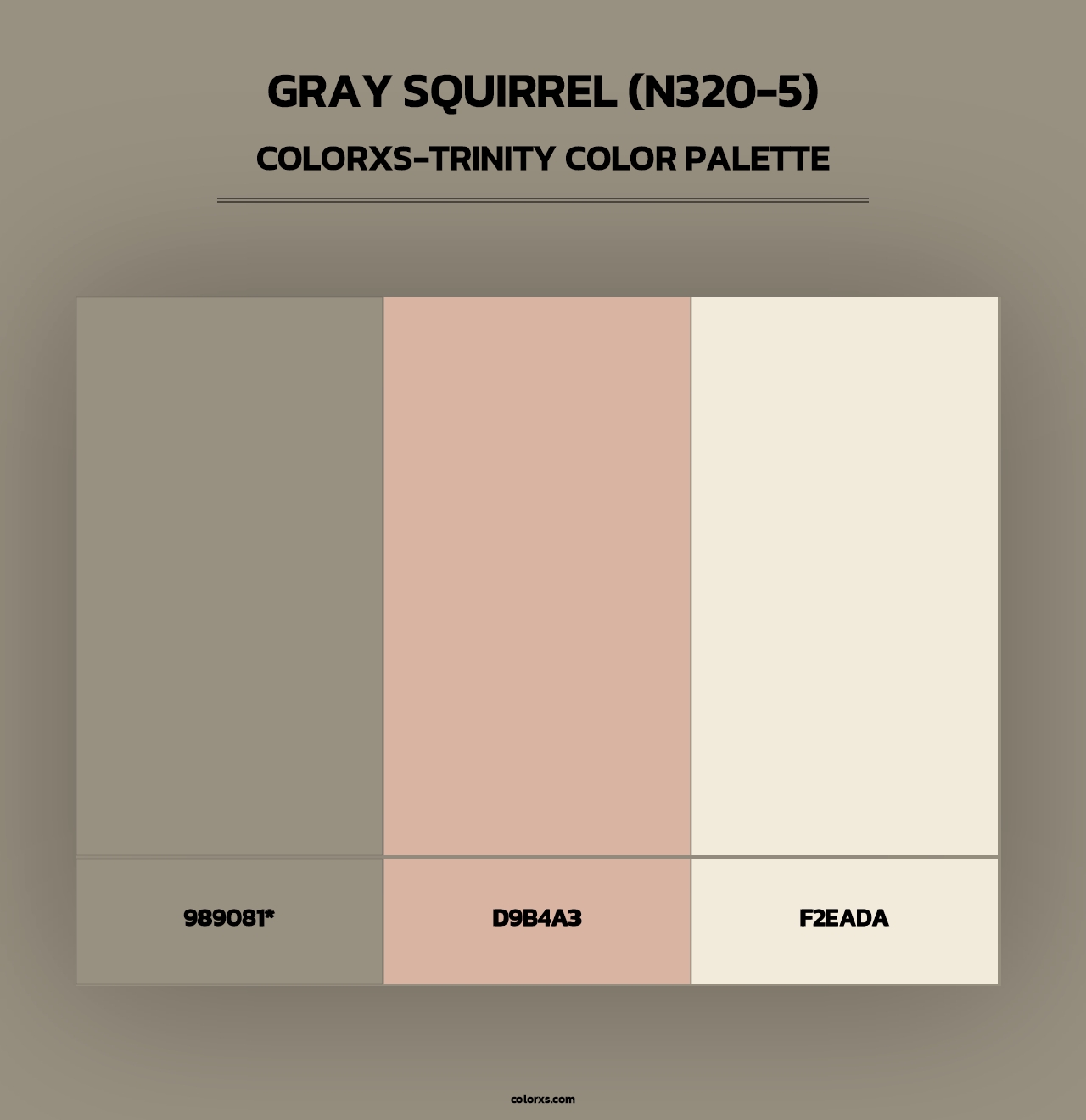 Gray Squirrel (N320-5) - Colorxs Trinity Palette