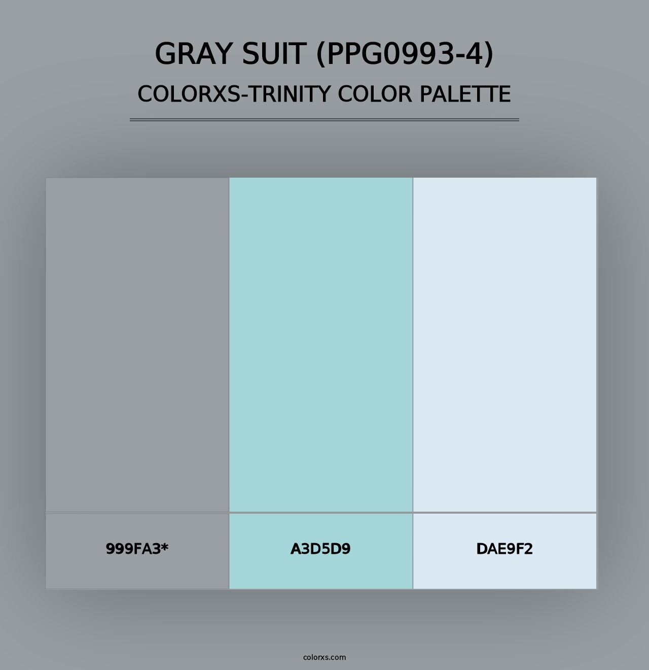 Gray Suit (PPG0993-4) - Colorxs Trinity Palette