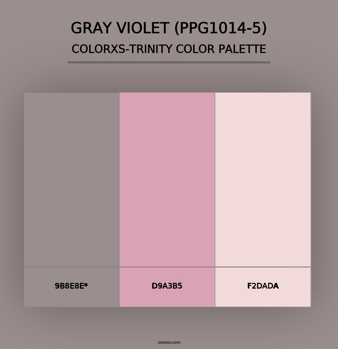 Gray Violet (PPG1014-5) - Colorxs Trinity Palette