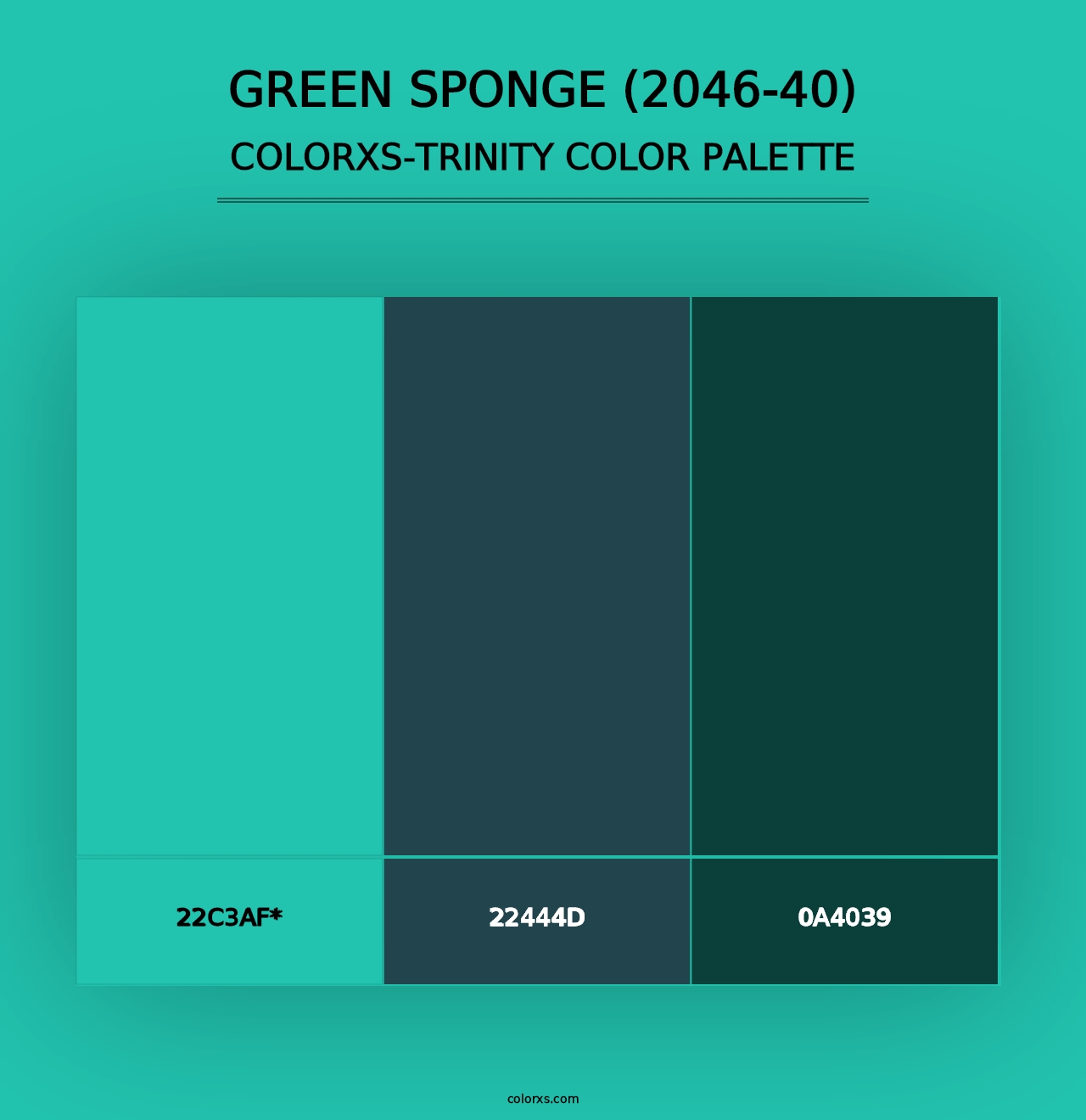 Green Sponge (2046-40) - Colorxs Trinity Palette