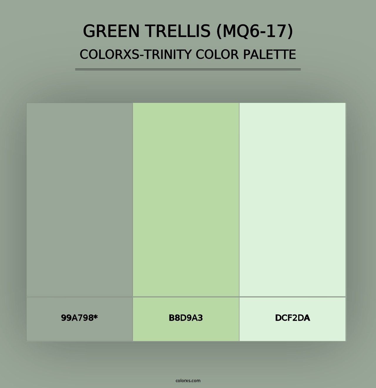 Green Trellis (MQ6-17) - Colorxs Trinity Palette