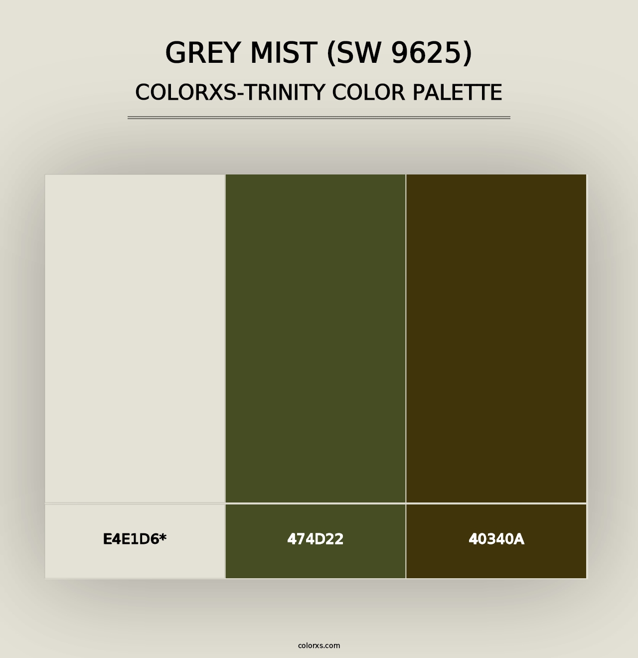 Grey Mist (SW 9625) - Colorxs Trinity Palette