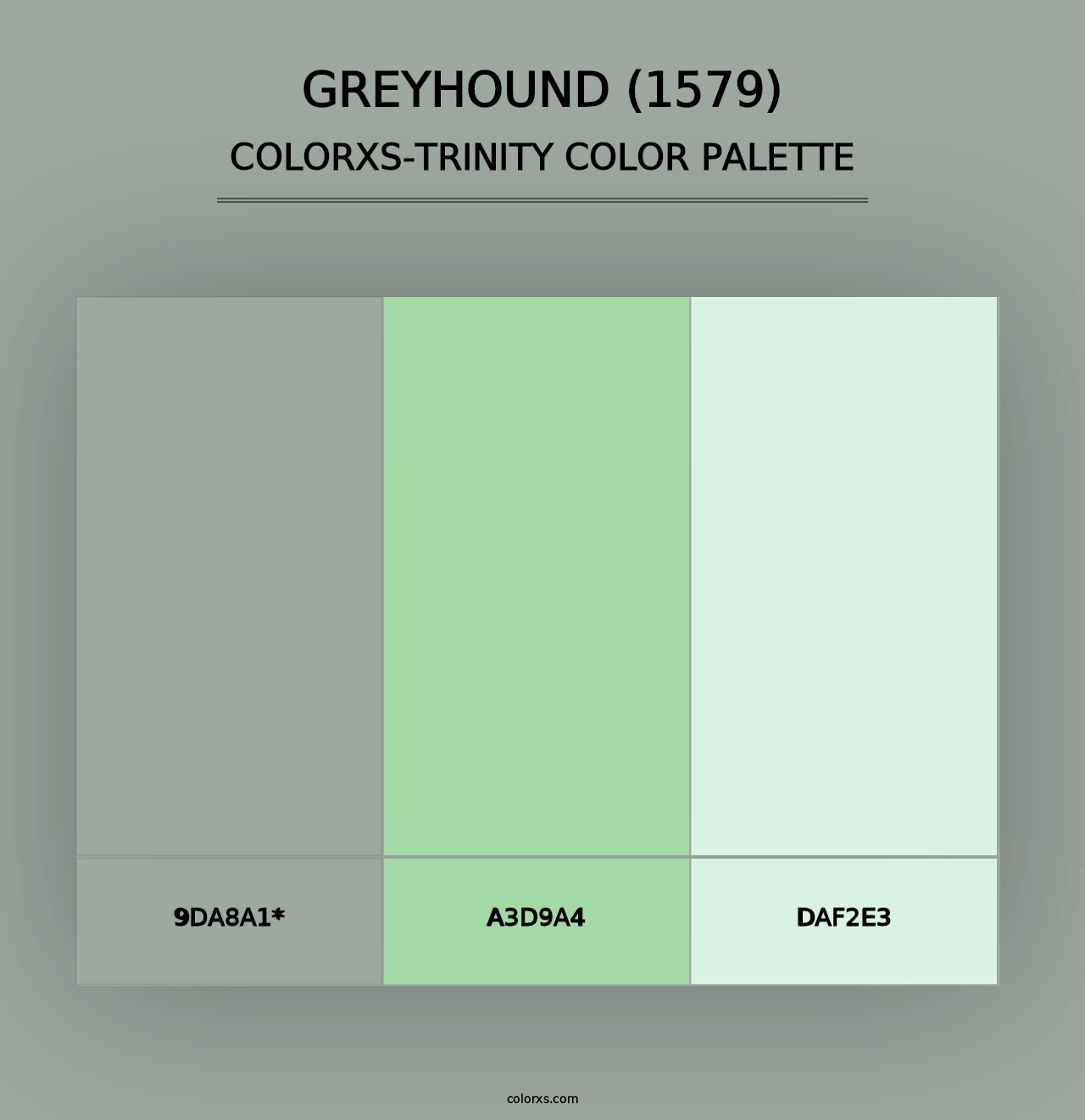 Greyhound (1579) - Colorxs Trinity Palette