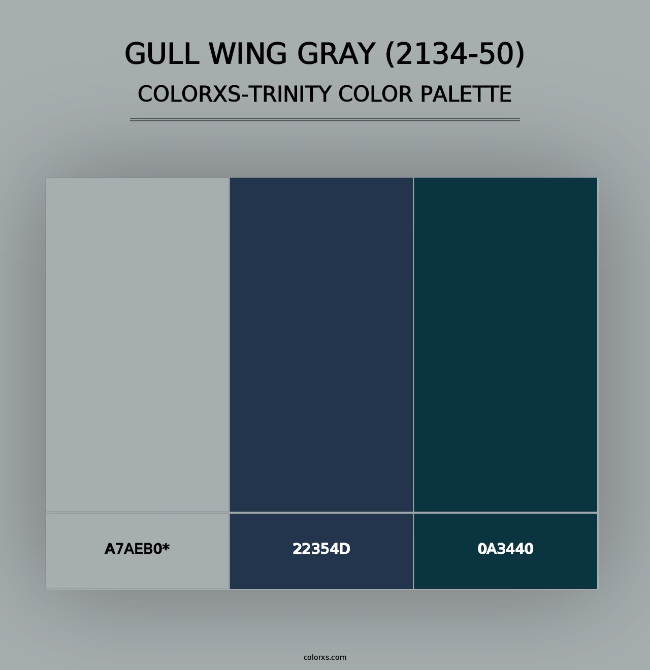 Gull Wing Gray (2134-50) - Colorxs Trinity Palette