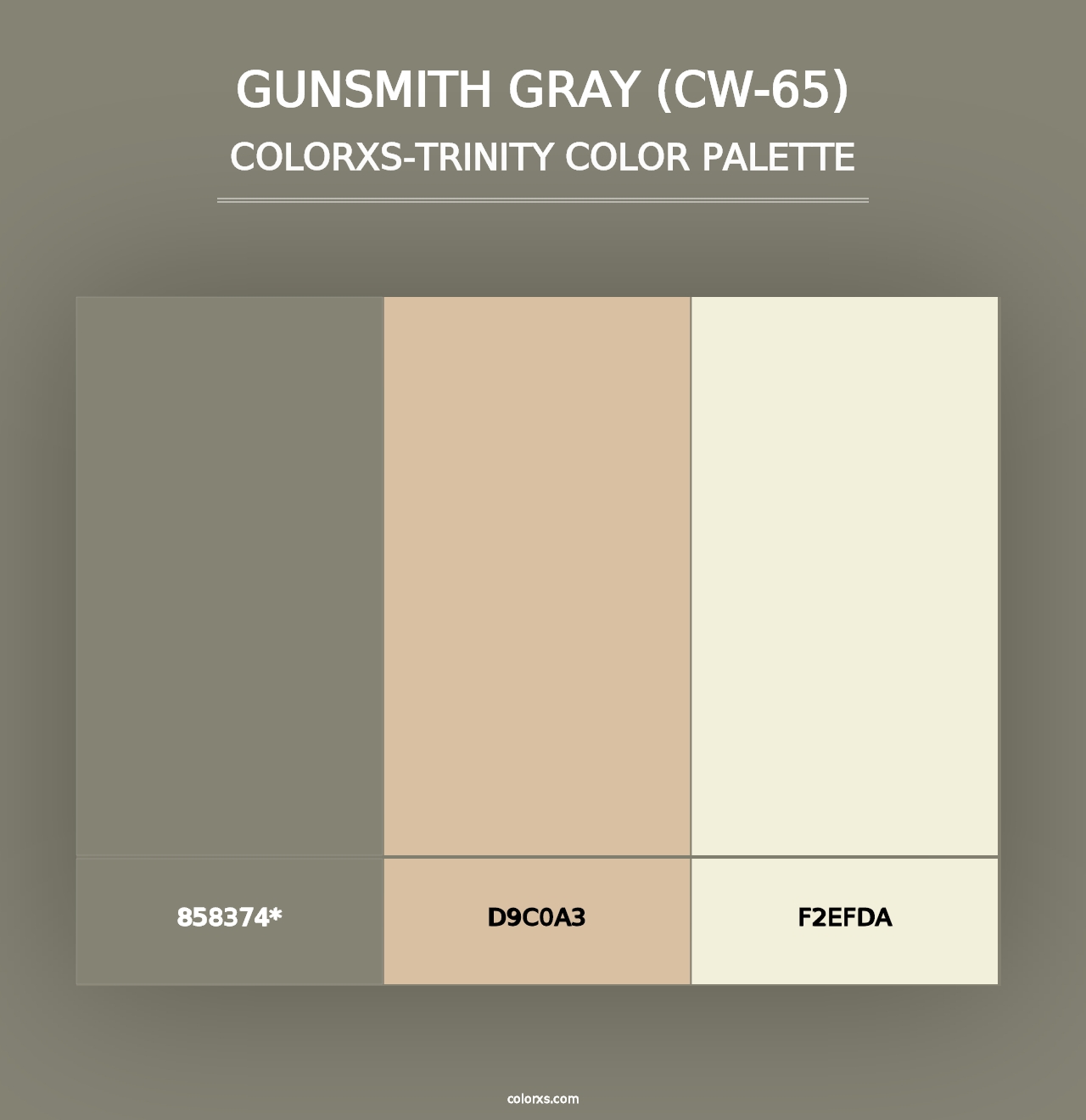 Gunsmith Gray (CW-65) - Colorxs Trinity Palette