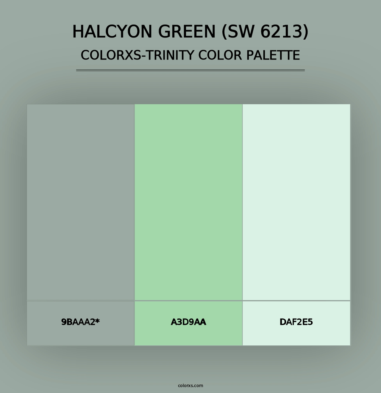 Halcyon Green (SW 6213) - Colorxs Trinity Palette