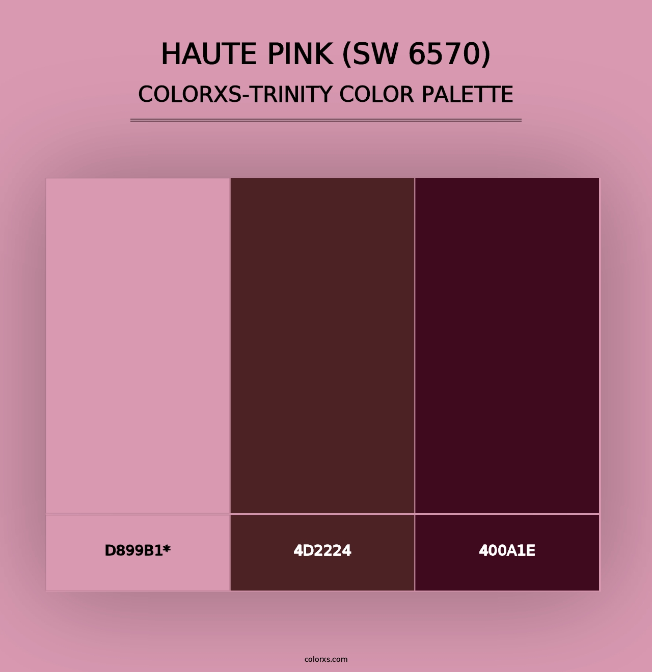 Haute Pink (SW 6570) - Colorxs Trinity Palette