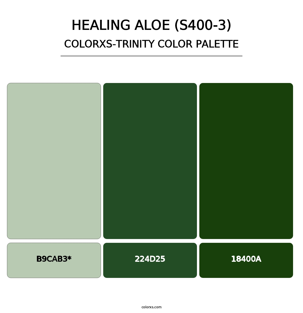 Healing Aloe (S400-3) - Colorxs Trinity Palette