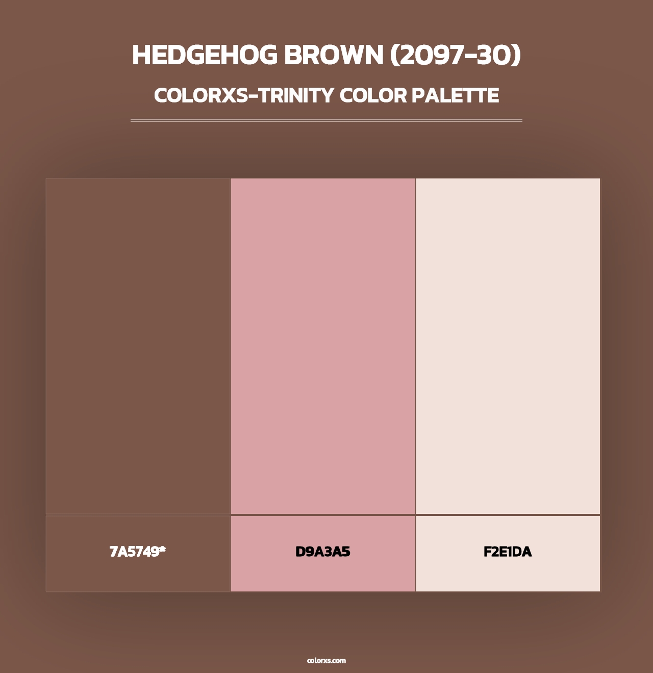 Hedgehog Brown (2097-30) - Colorxs Trinity Palette