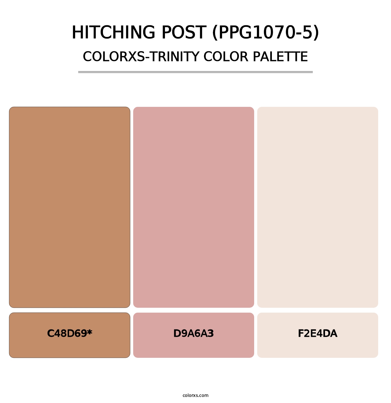 Hitching Post (PPG1070-5) - Colorxs Trinity Palette