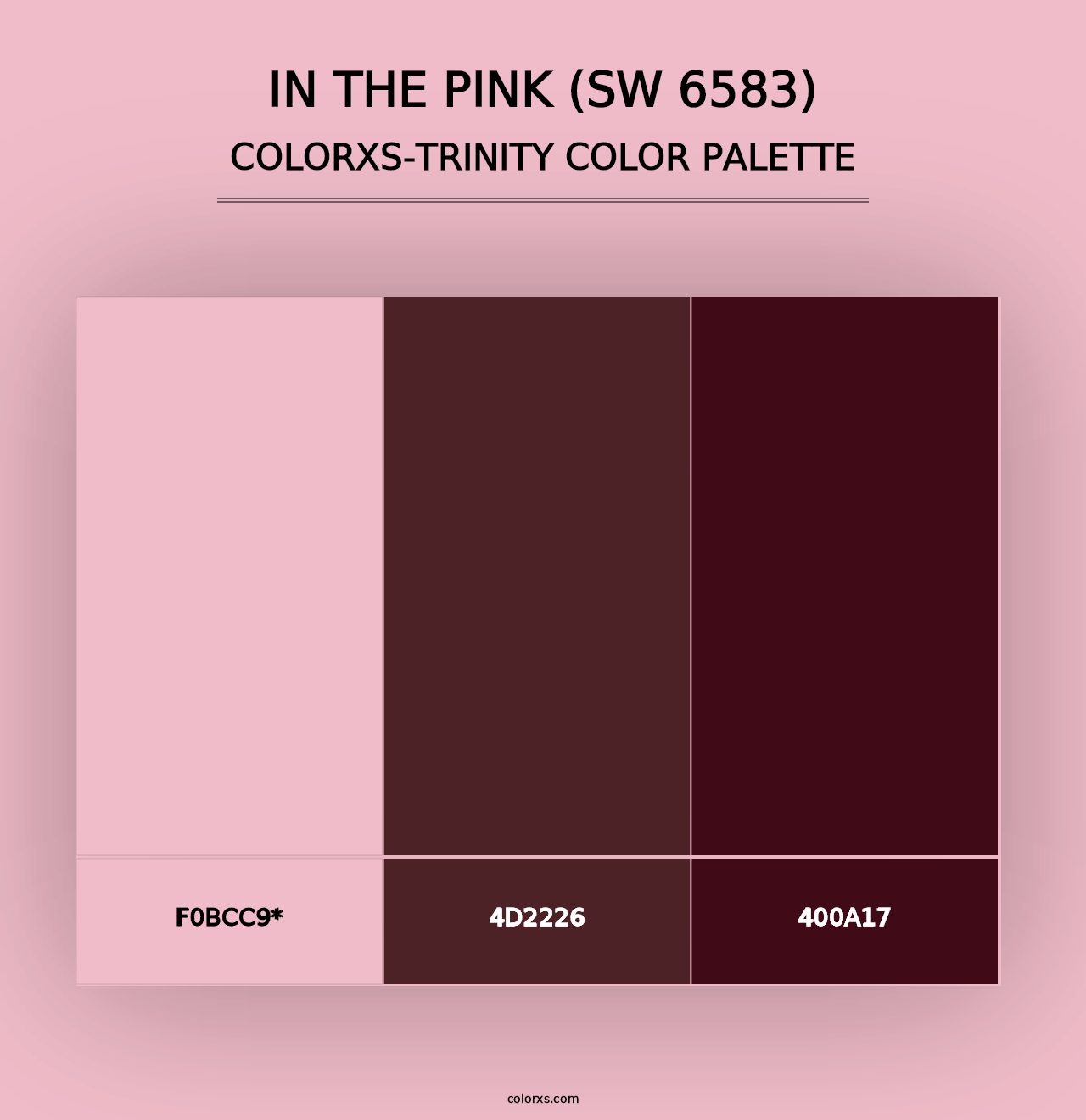 In the Pink (SW 6583) - Colorxs Trinity Palette