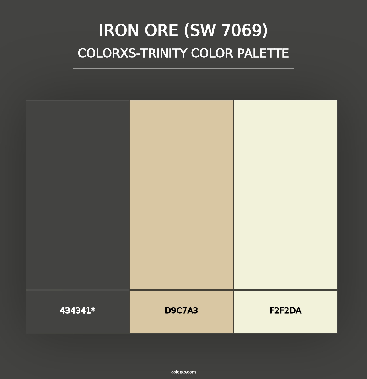 Iron Ore (SW 7069) - Colorxs Trinity Palette