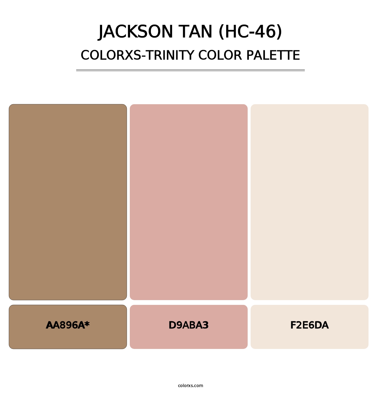 Jackson Tan (HC-46) - Colorxs Trinity Palette