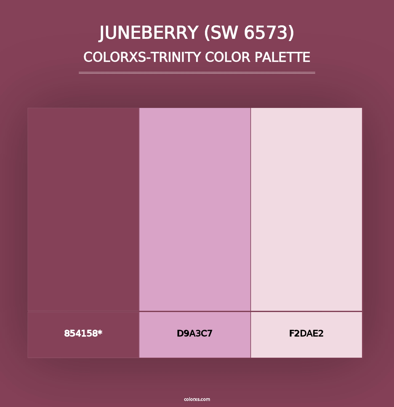 Juneberry (SW 6573) - Colorxs Trinity Palette