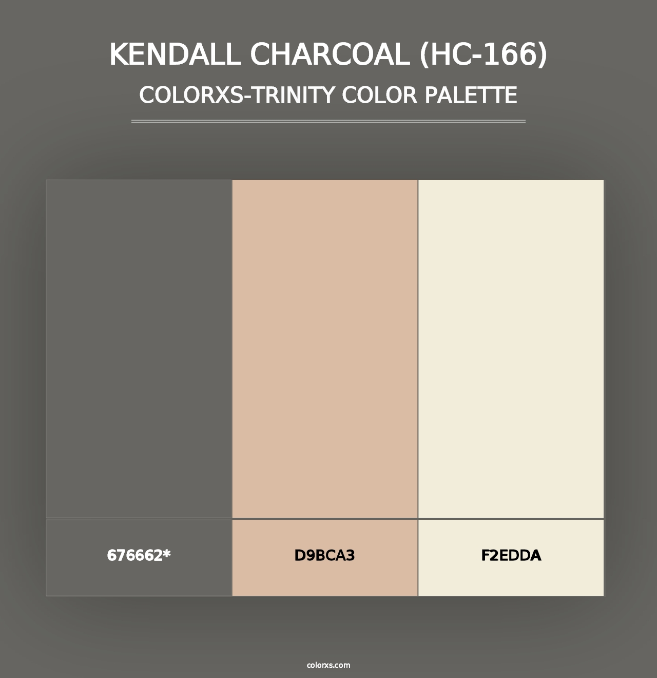 Kendall Charcoal (HC-166) - Colorxs Trinity Palette