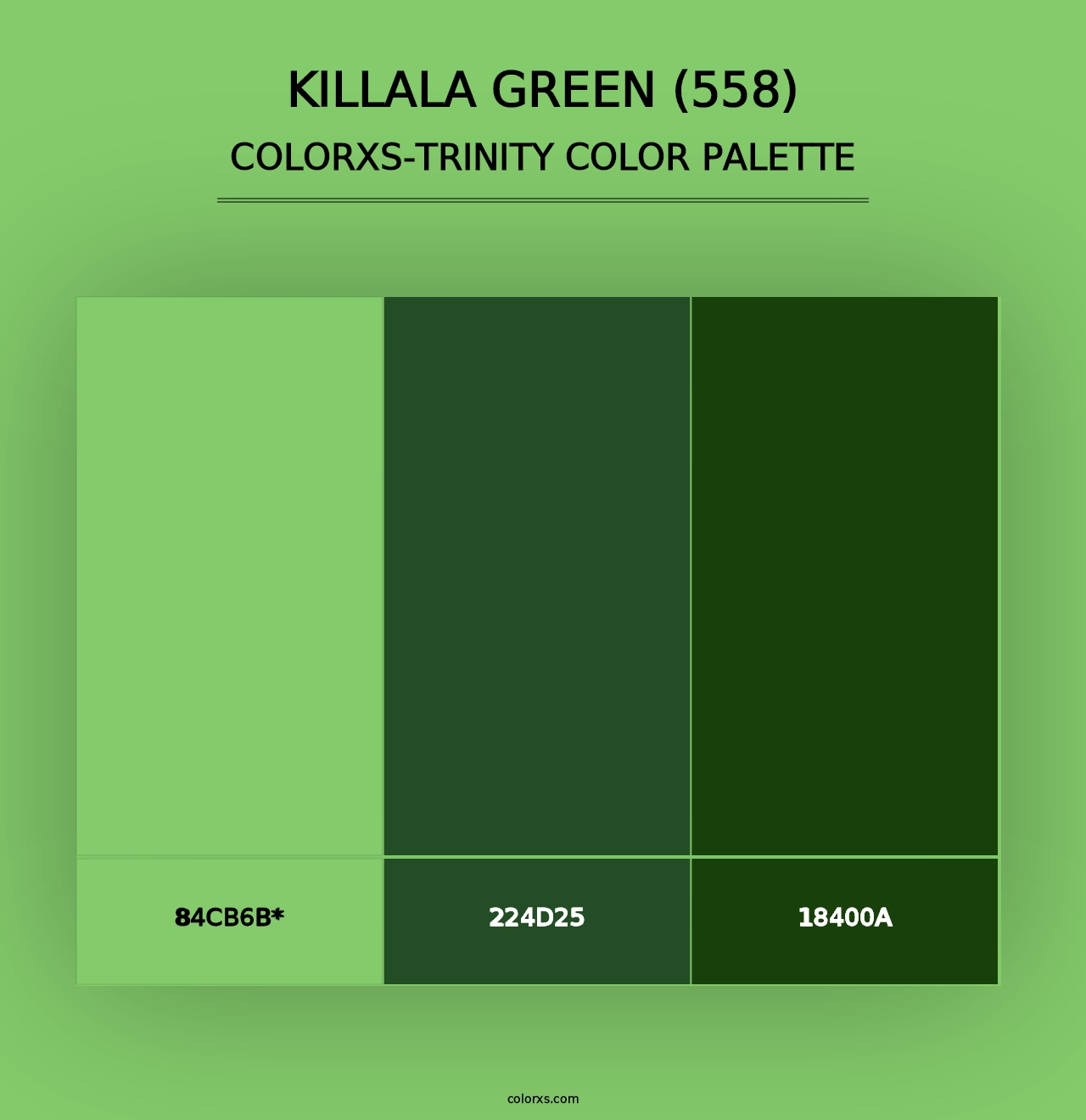 Killala Green (558) - Colorxs Trinity Palette