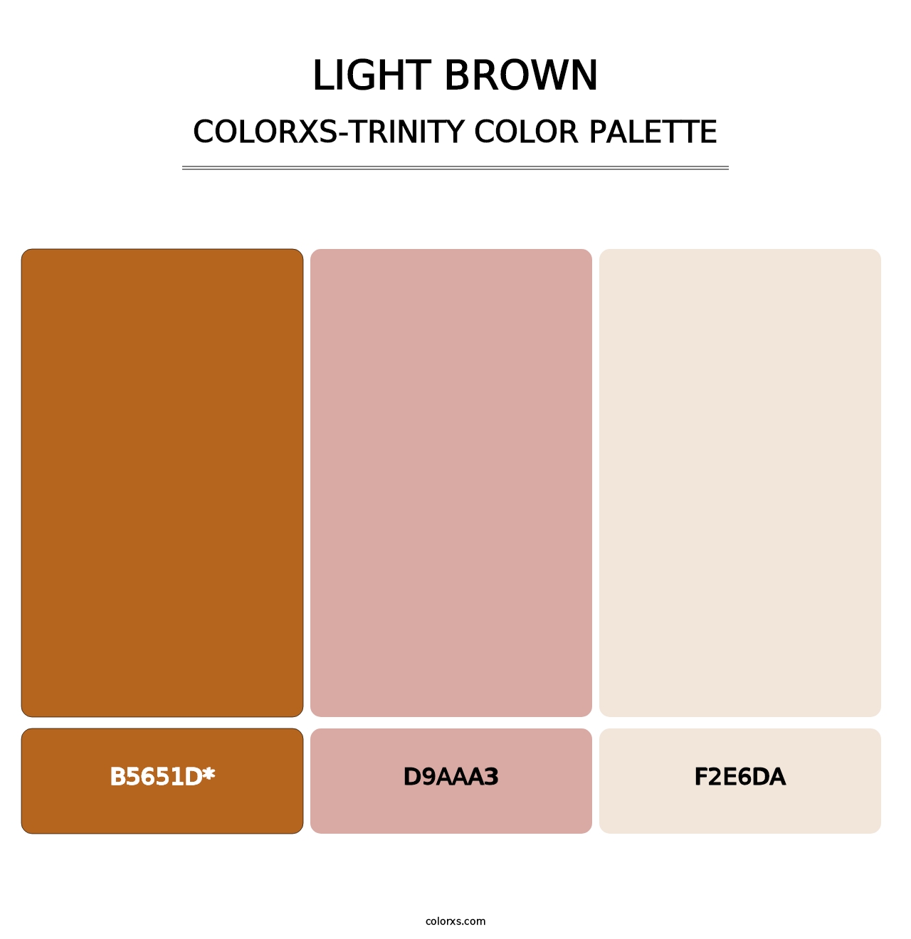 Light Brown - Colorxs Trinity Palette