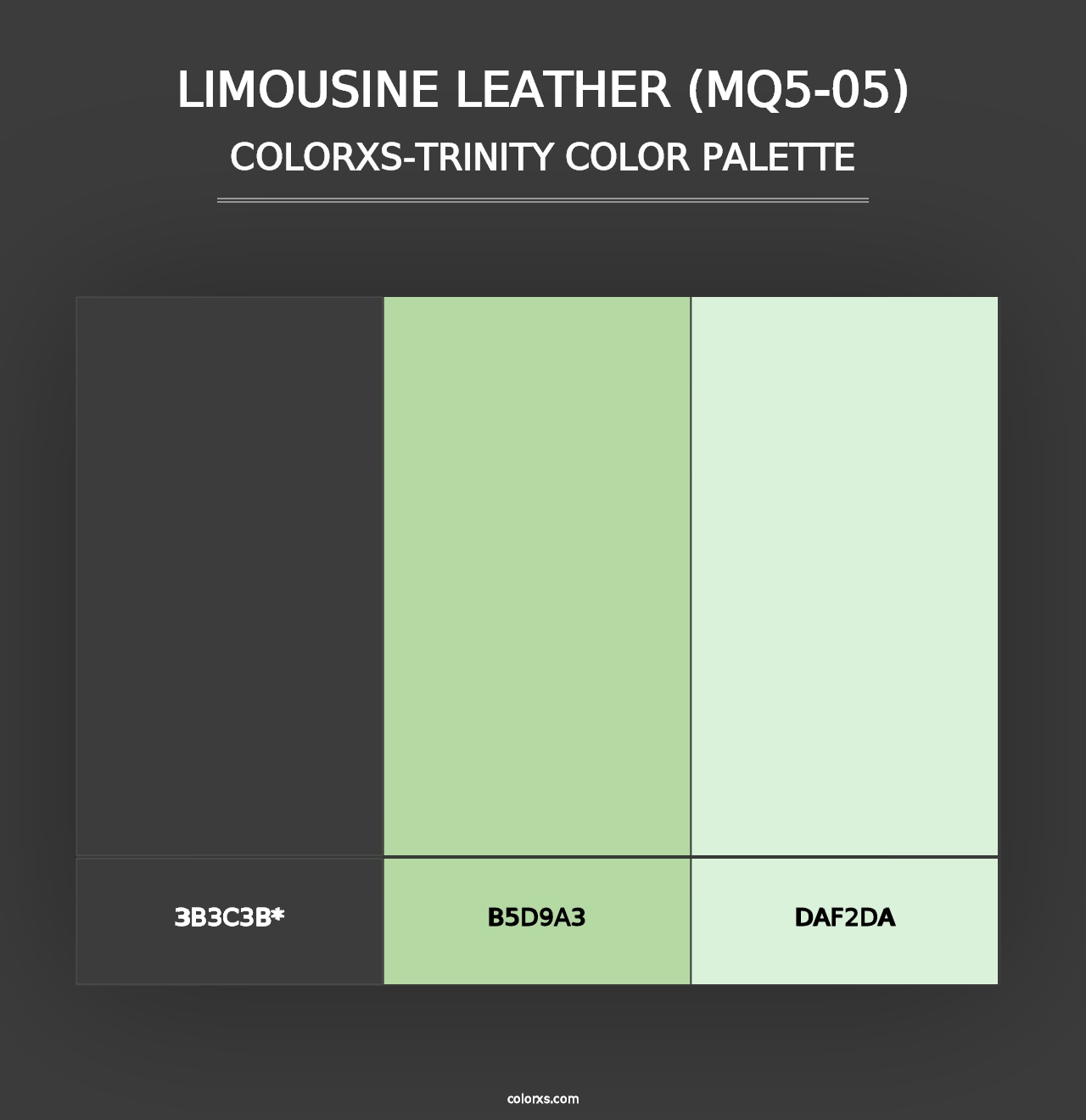 Limousine Leather (MQ5-05) - Colorxs Trinity Palette