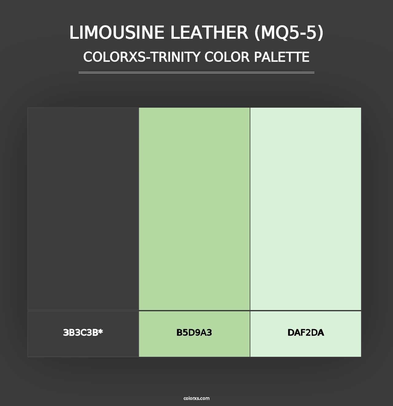 Limousine Leather (MQ5-5) - Colorxs Trinity Palette