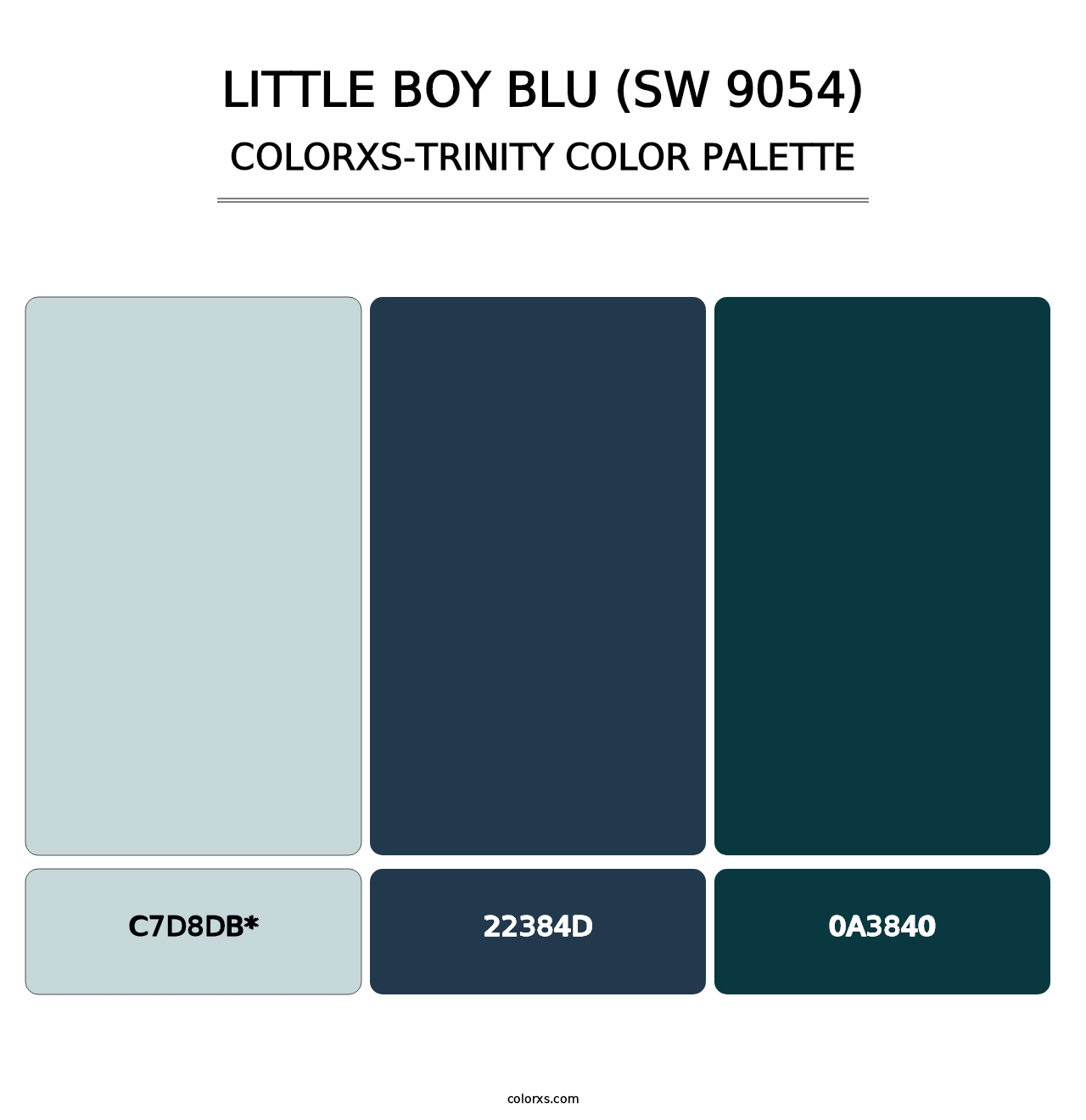 Little Boy Blu (SW 9054) - Colorxs Trinity Palette