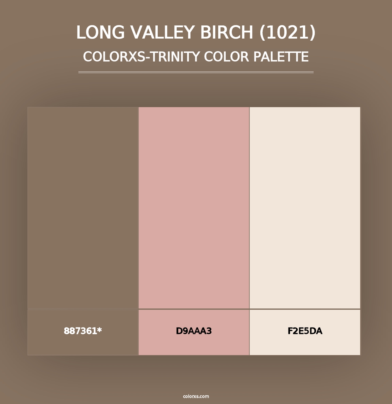 Long Valley Birch (1021) - Colorxs Trinity Palette