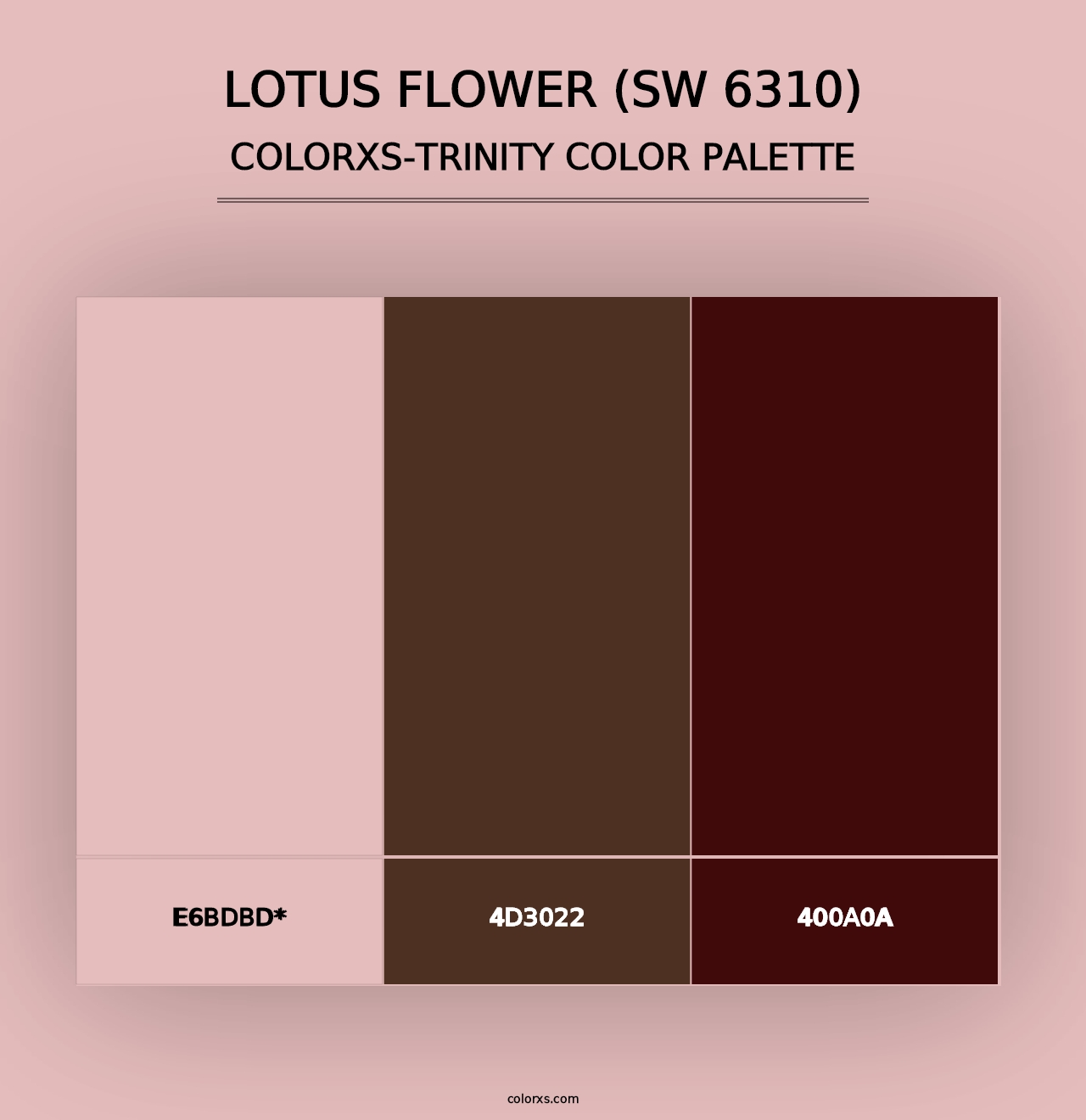 Lotus Flower (SW 6310) - Colorxs Trinity Palette