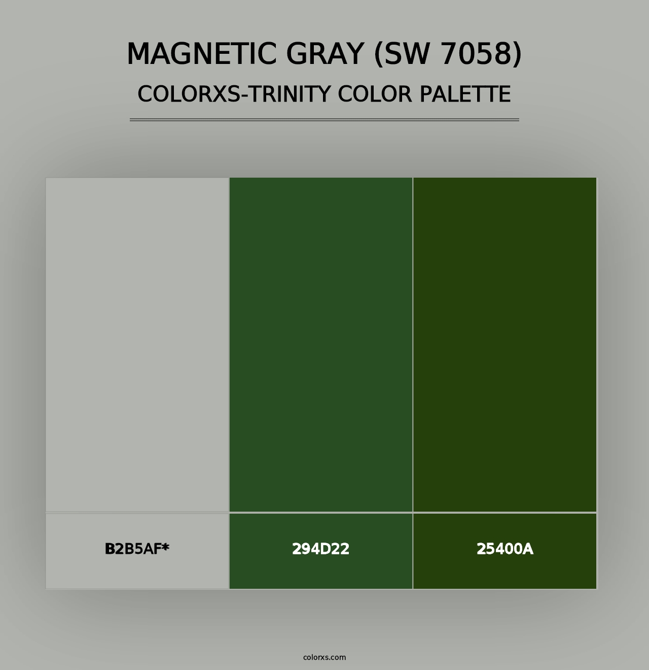 Magnetic Gray (SW 7058) - Colorxs Trinity Palette