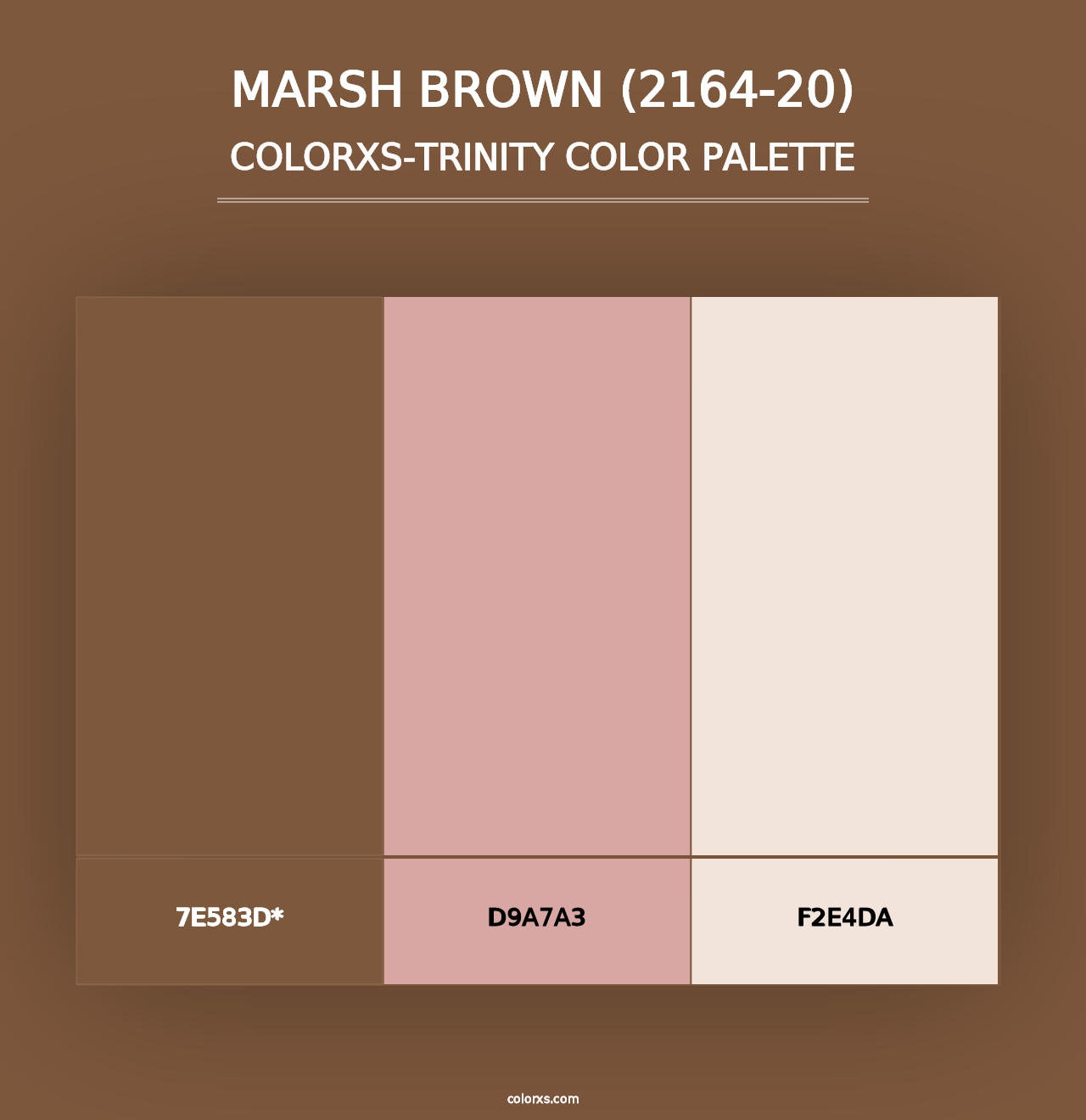 Marsh Brown (2164-20) - Colorxs Trinity Palette