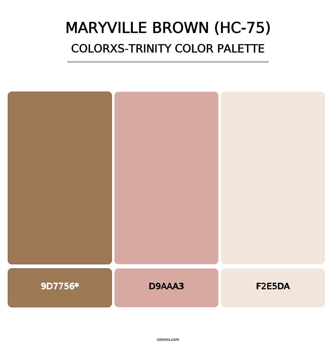 Maryville Brown (HC-75) - Colorxs Trinity Palette