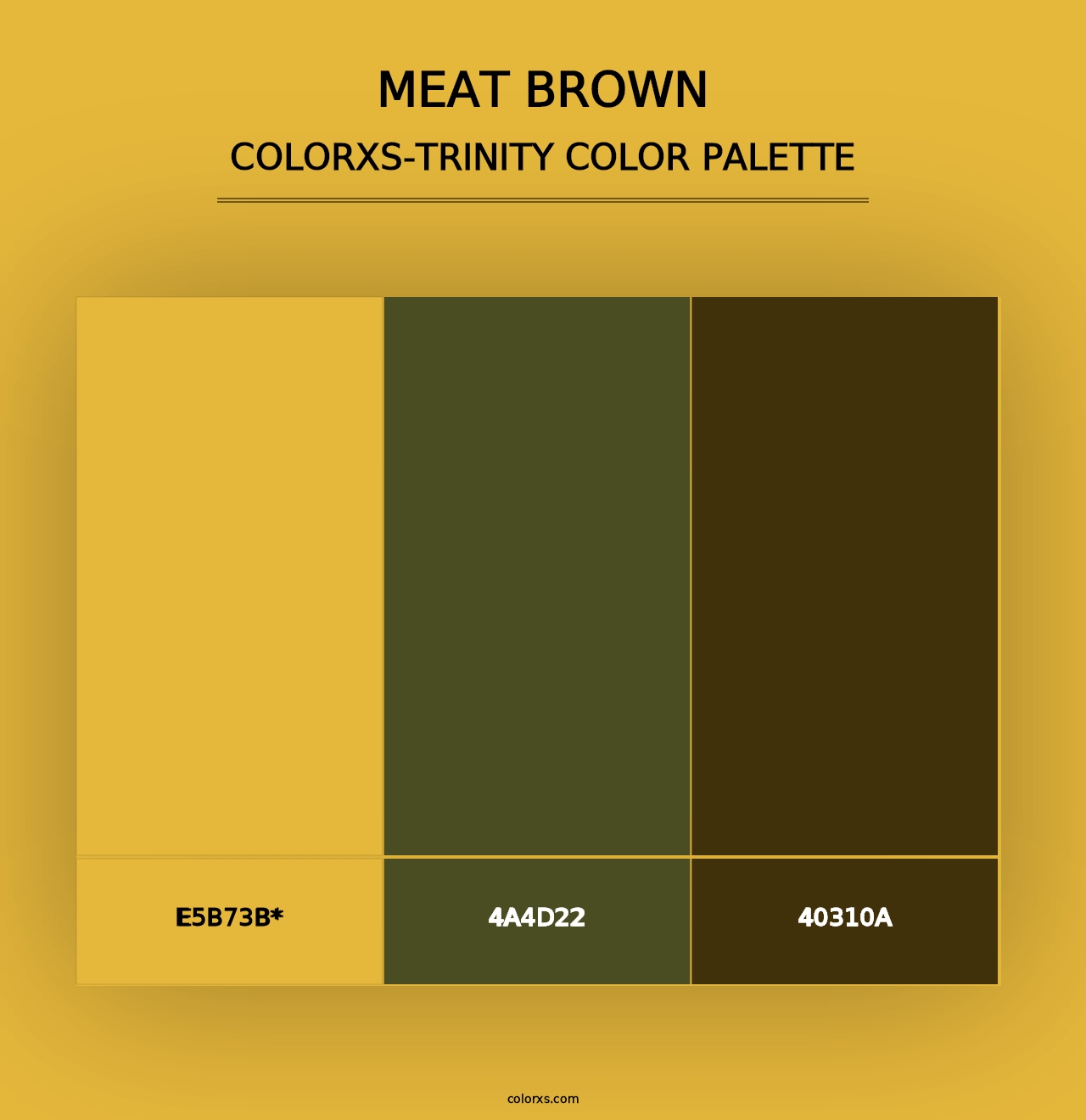 Meat brown - Colorxs Trinity Palette