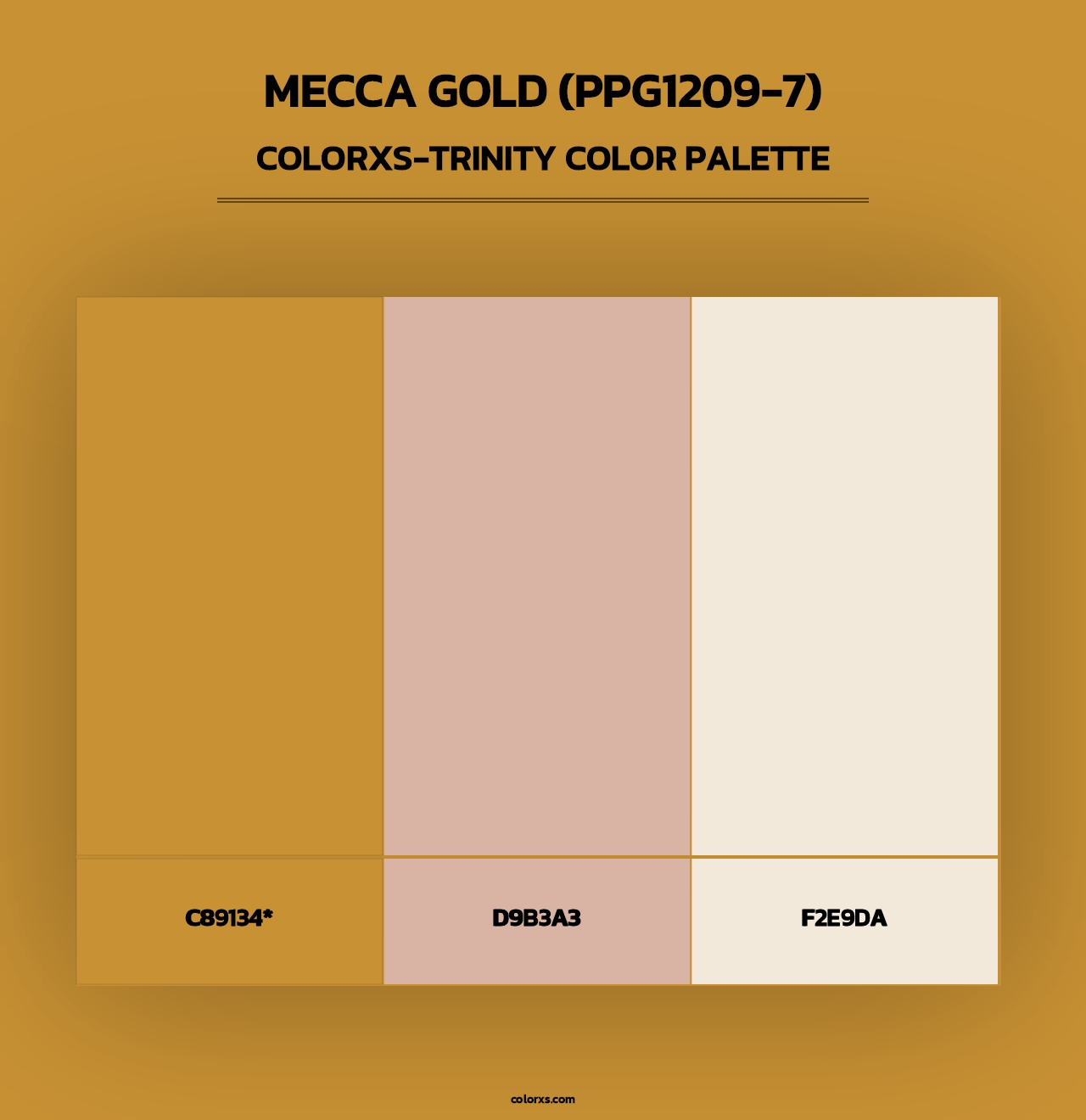 Mecca Gold (PPG1209-7) - Colorxs Trinity Palette