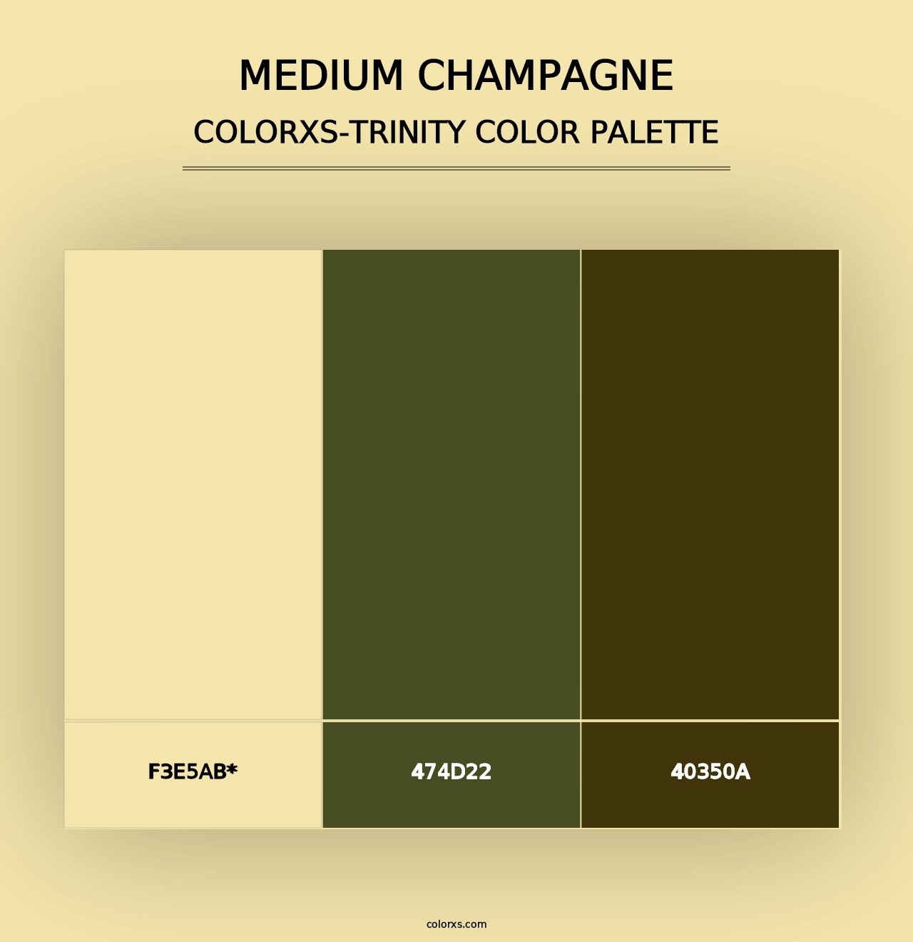 Medium Champagne - Colorxs Trinity Palette