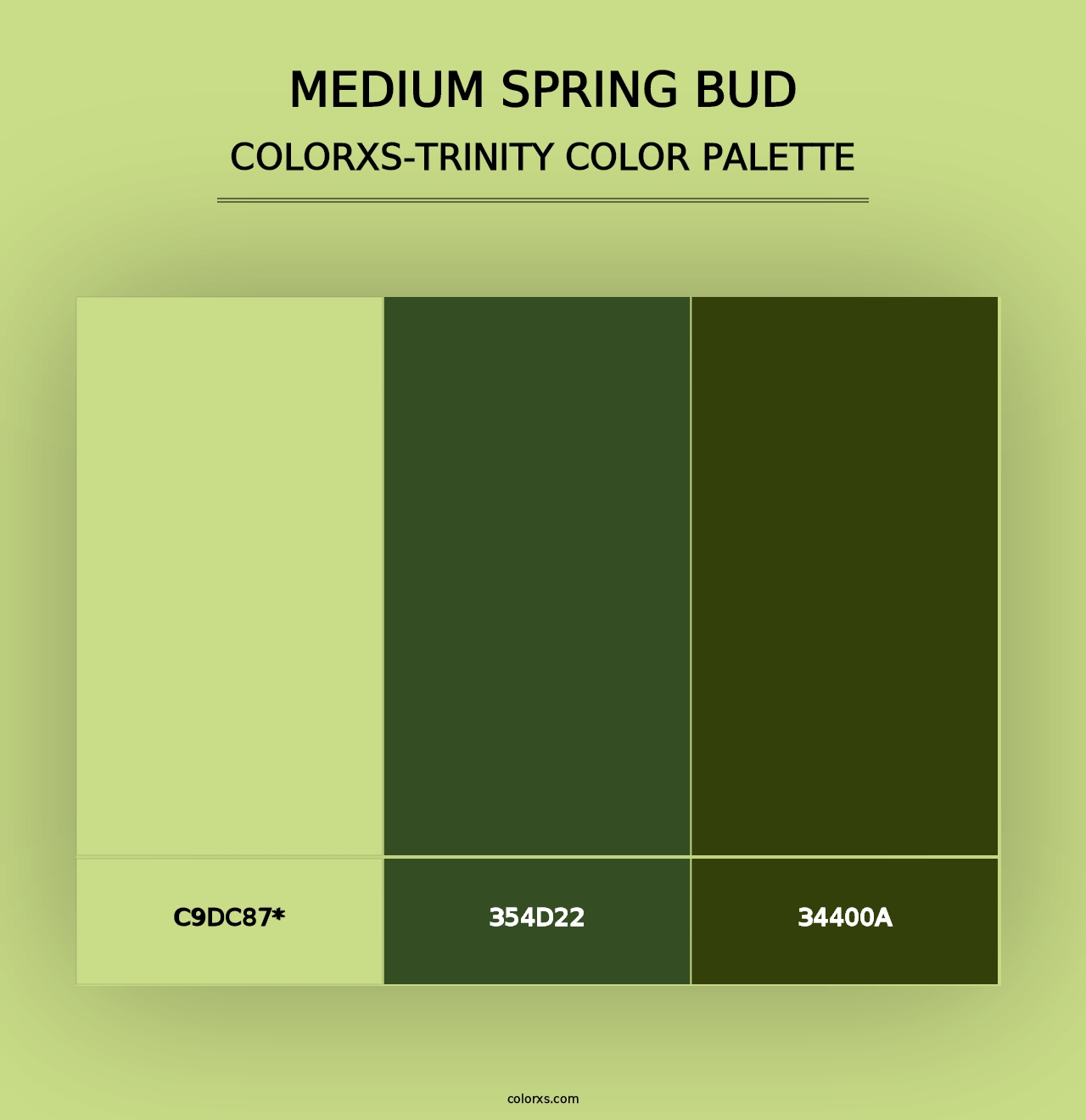 Medium Spring Bud - Colorxs Trinity Palette