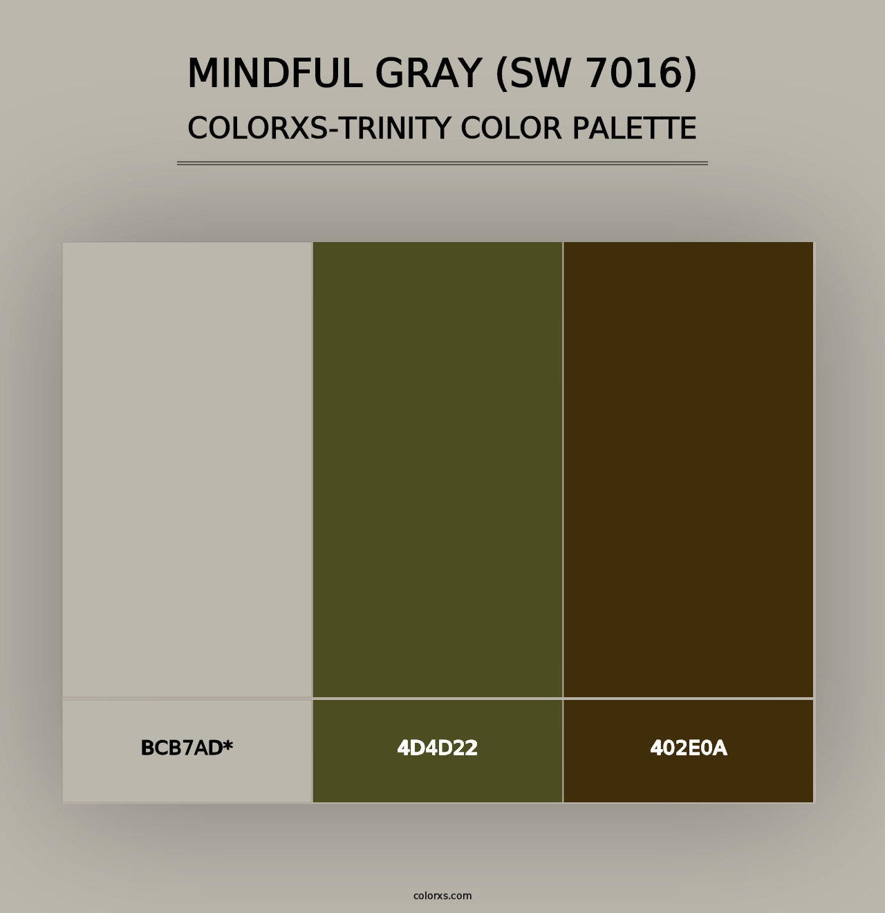 Mindful Gray (SW 7016) - Colorxs Trinity Palette