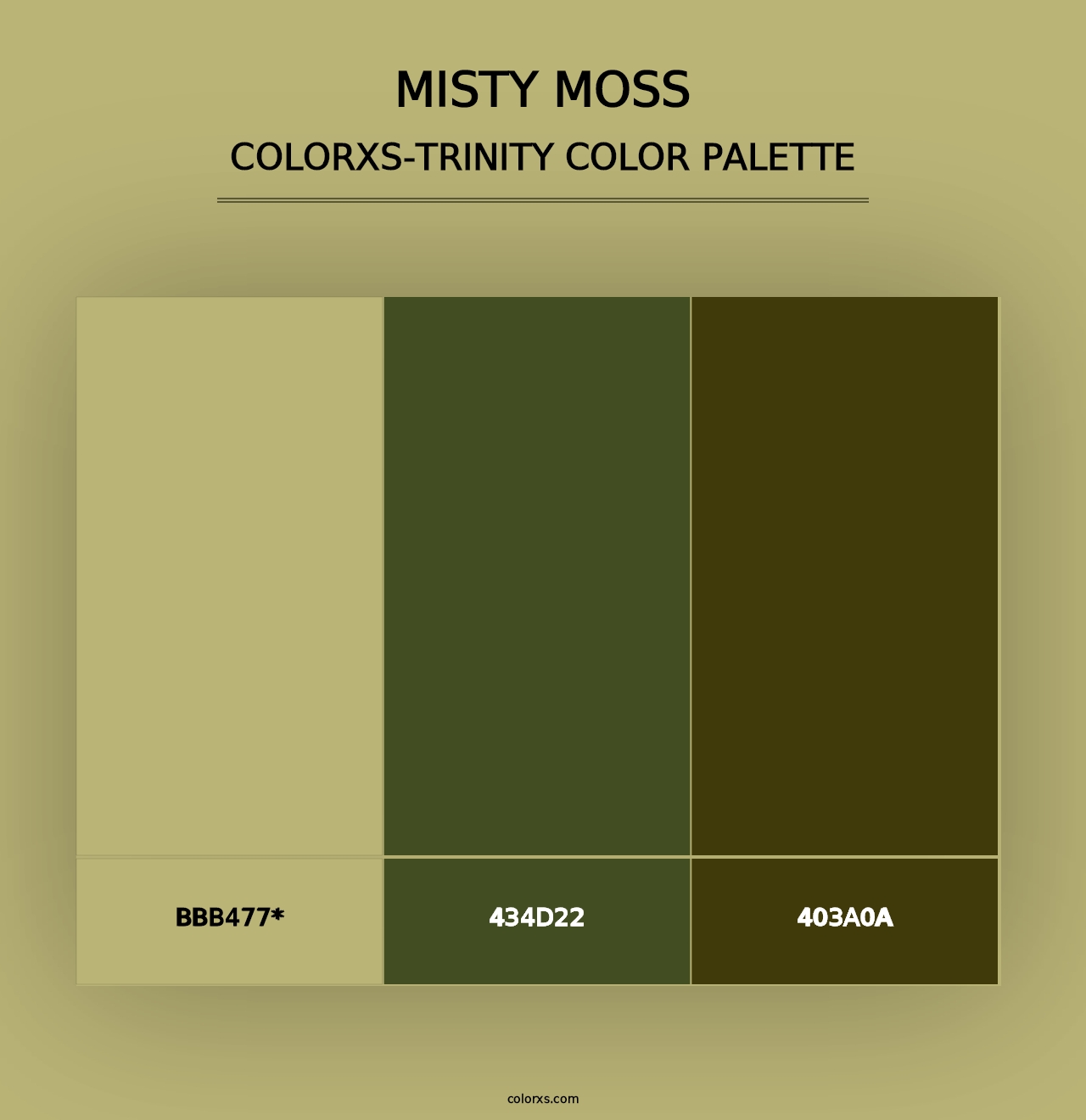 Misty Moss - Colorxs Trinity Palette