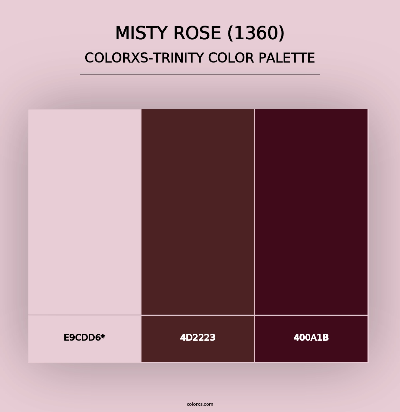 Misty Rose (1360) - Colorxs Trinity Palette