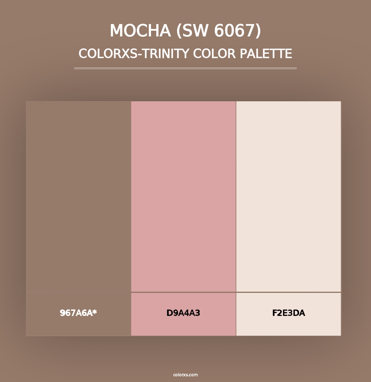 Mocha (SW 6067) - Colorxs Trinity Palette