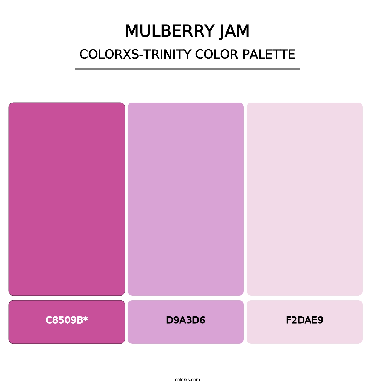 Mulberry Jam - Colorxs Trinity Palette