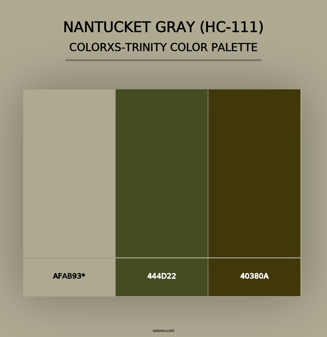 Nantucket Gray (HC-111) - Colorxs Trinity Palette