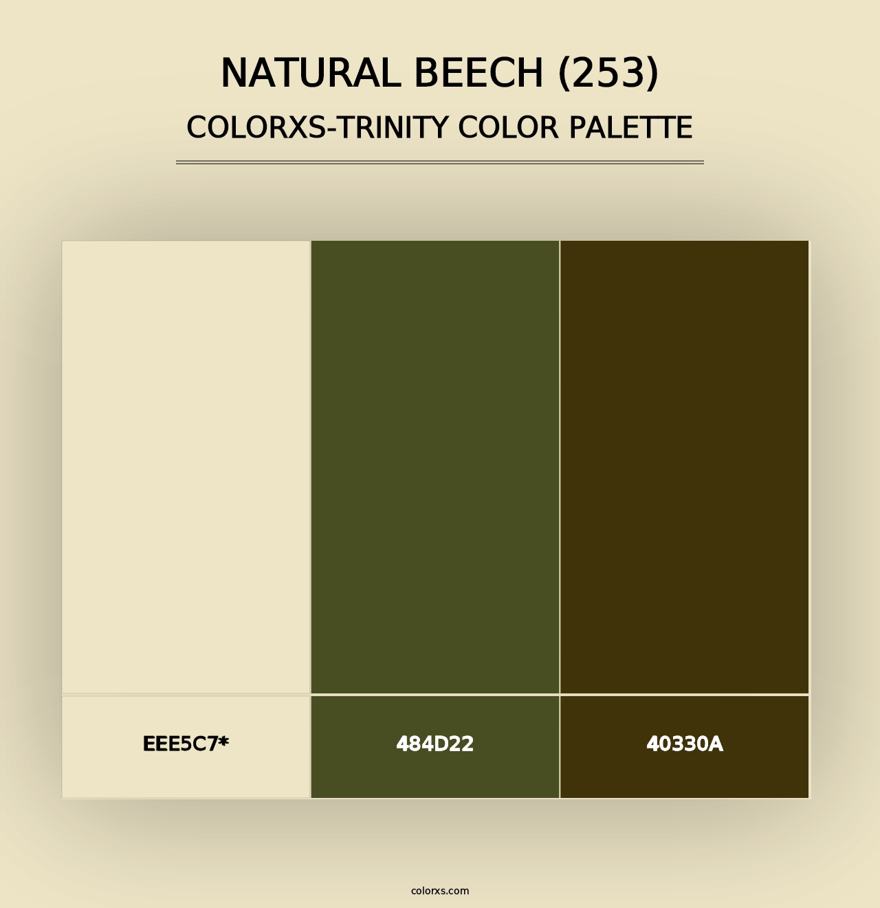 Natural Beech (253) - Colorxs Trinity Palette