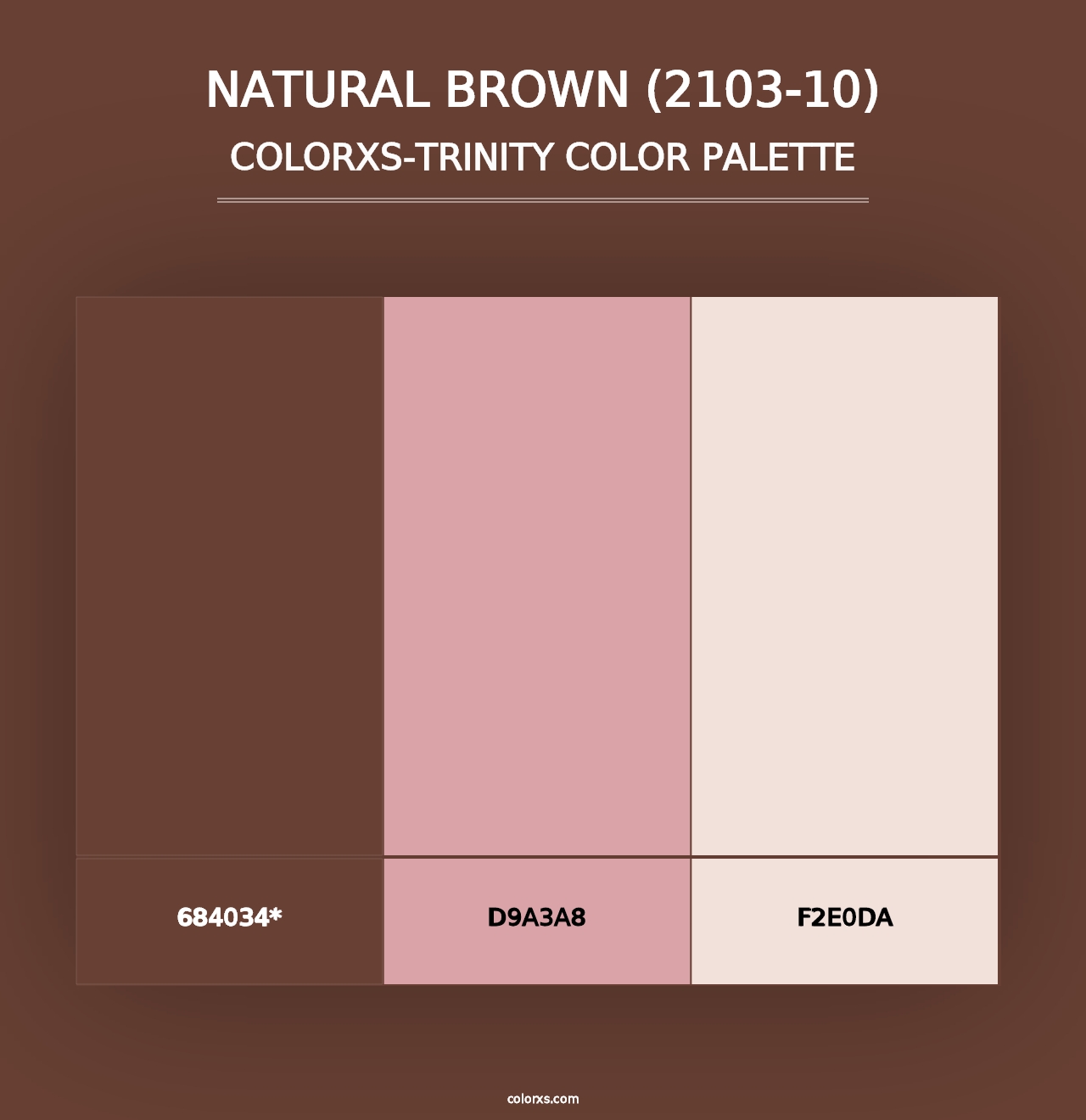 Natural Brown (2103-10) - Colorxs Trinity Palette