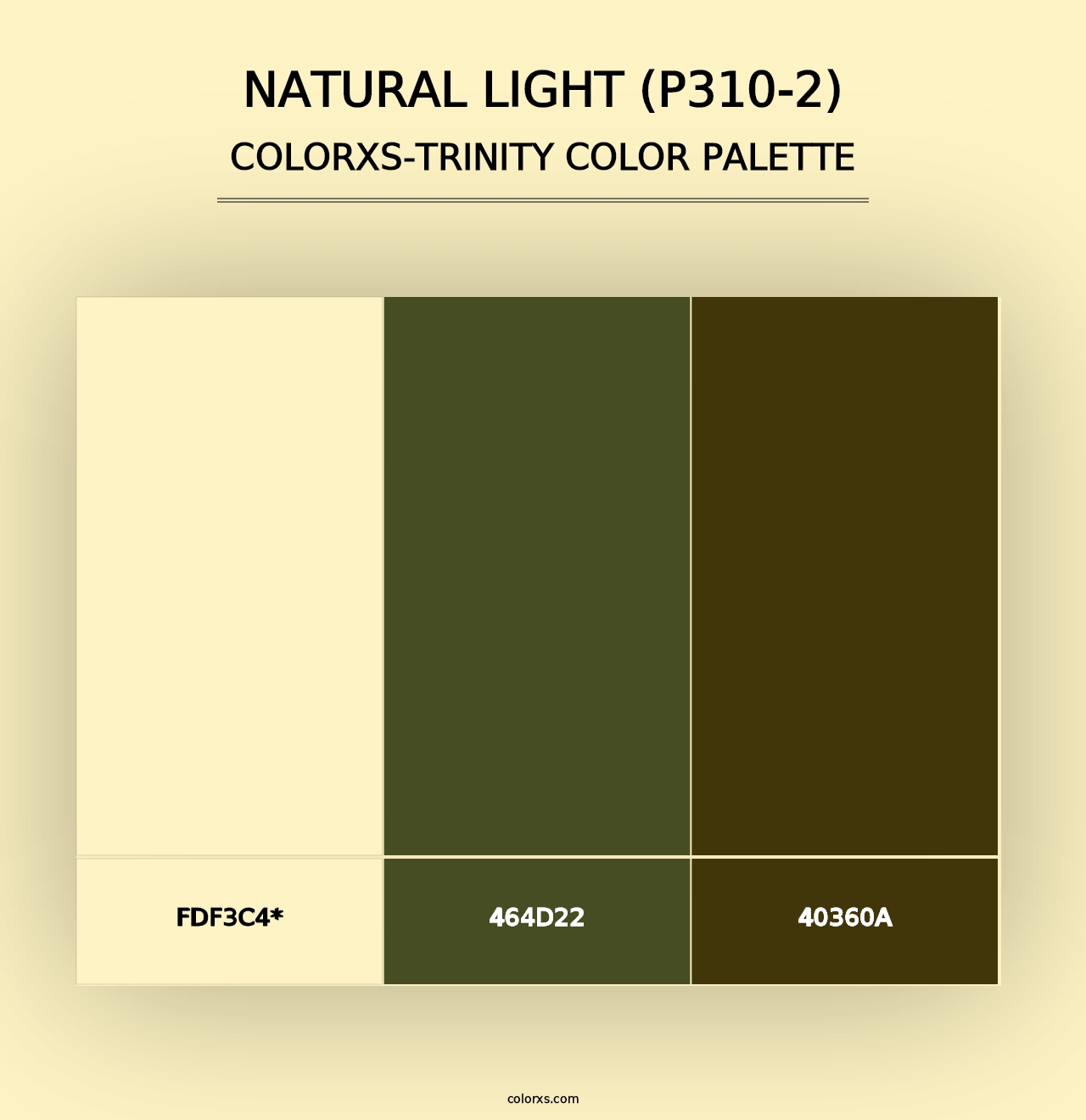 Natural Light (P310-2) - Colorxs Trinity Palette