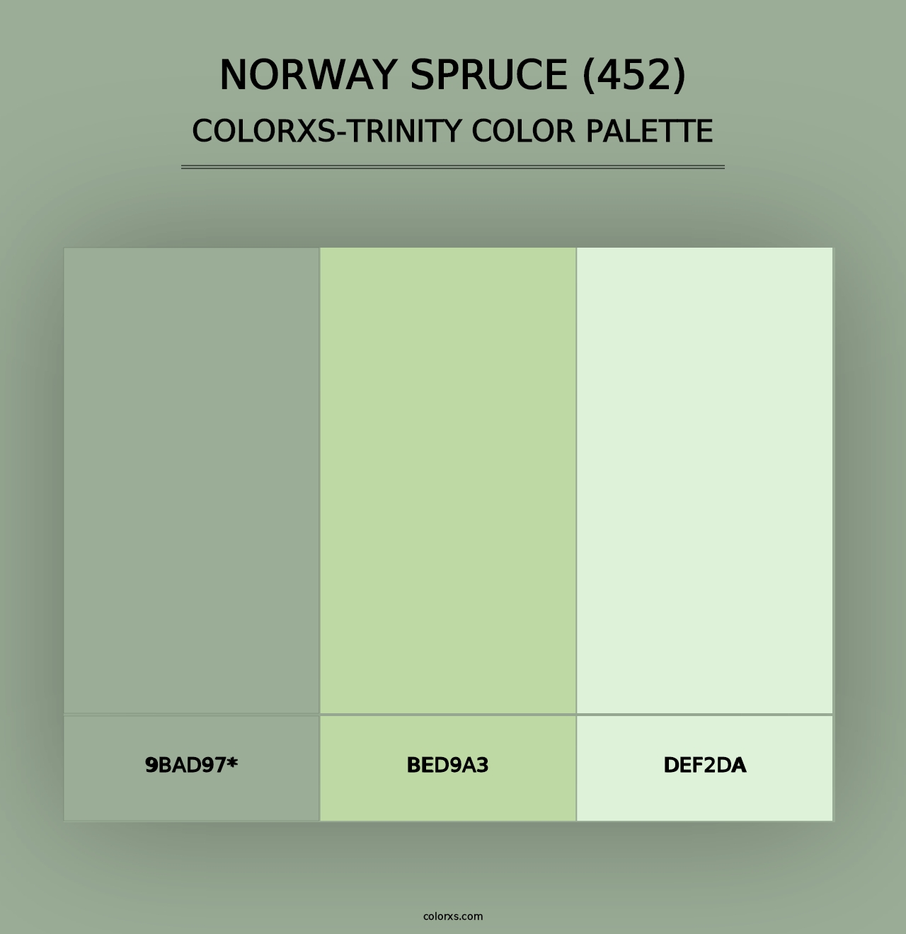 Norway Spruce (452) - Colorxs Trinity Palette