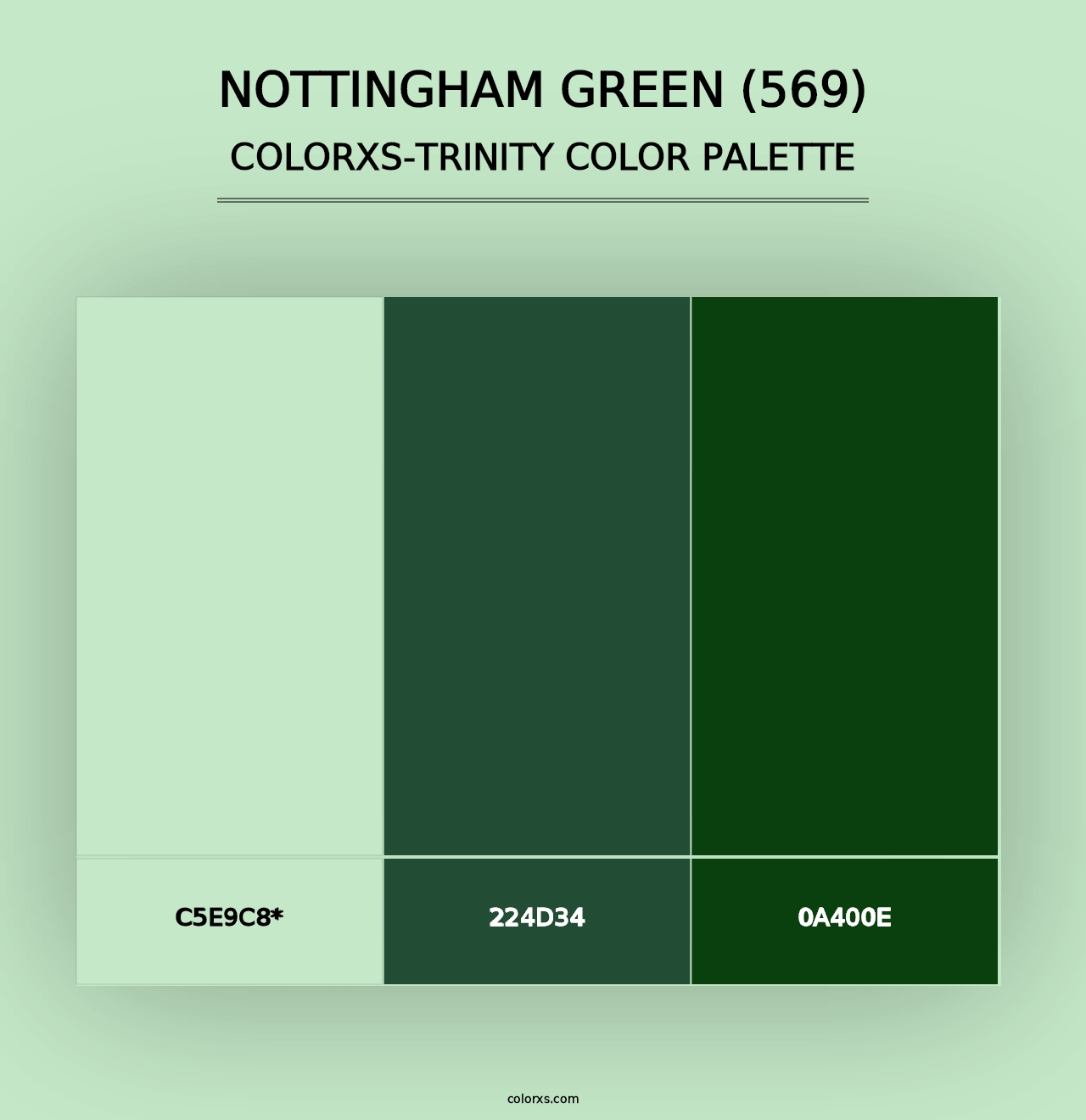 Nottingham Green (569) - Colorxs Trinity Palette