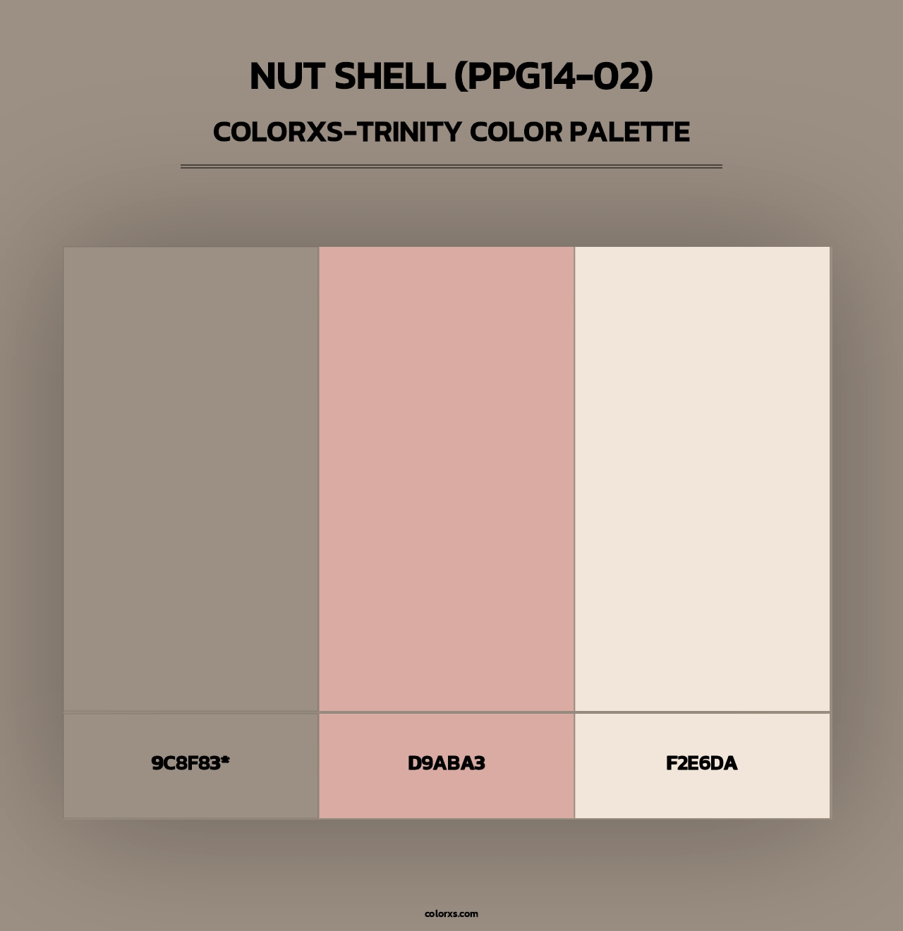 Nut Shell (PPG14-02) - Colorxs Trinity Palette