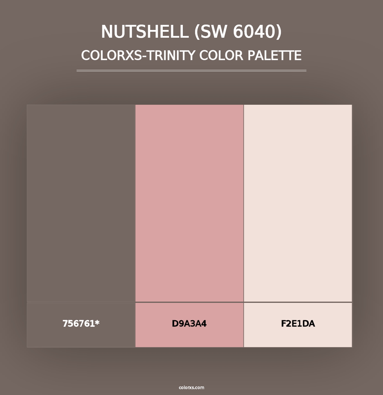 Nutshell (SW 6040) - Colorxs Trinity Palette